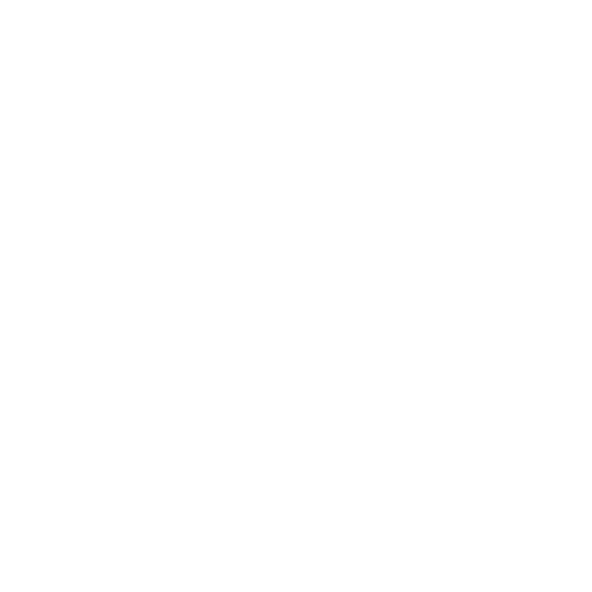 rival logo white